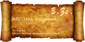Bálint Zsigmond névjegykártya