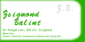 zsigmond balint business card