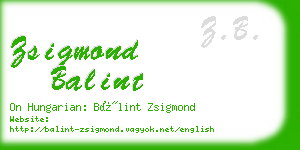 zsigmond balint business card